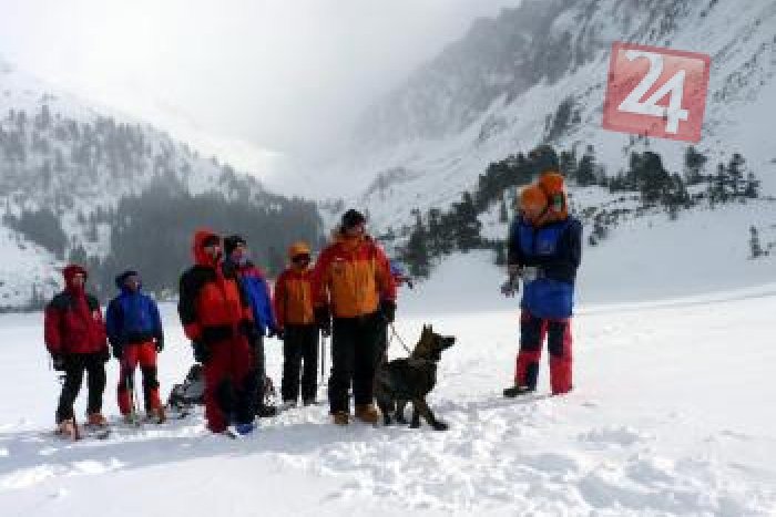 Ilustračný obrázok k článku Varujúca štatistika záchranárov: Od začiatku roka už 309 volaní o pomoc